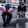 Cat Ears Pink - Motorcycle Helmet Accessory^Moto Loot Sale