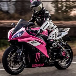 Cat Ears Pink - Motorcycle Helmet Accessory^Moto Loot Sale