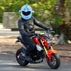 Motorcycle Helmet Cover - Dolphin^Moto Loot Discount