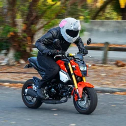 Motorcycle Helmet Cover - Elephant^Moto Loot Sale