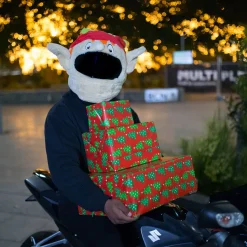 Motorcycle Helmet Cover - Elf^Moto Loot Best
