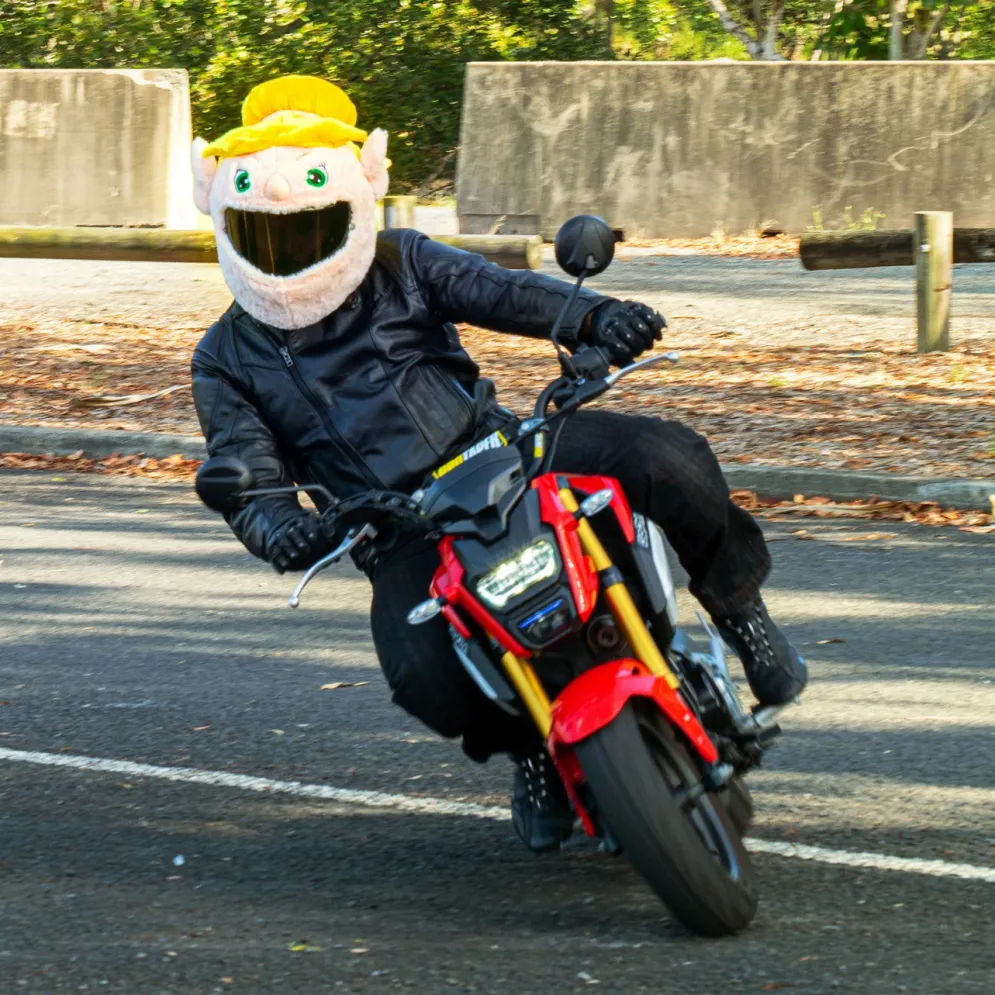 Motorcycle Helmet Cover - Fairy^Moto Loot Online