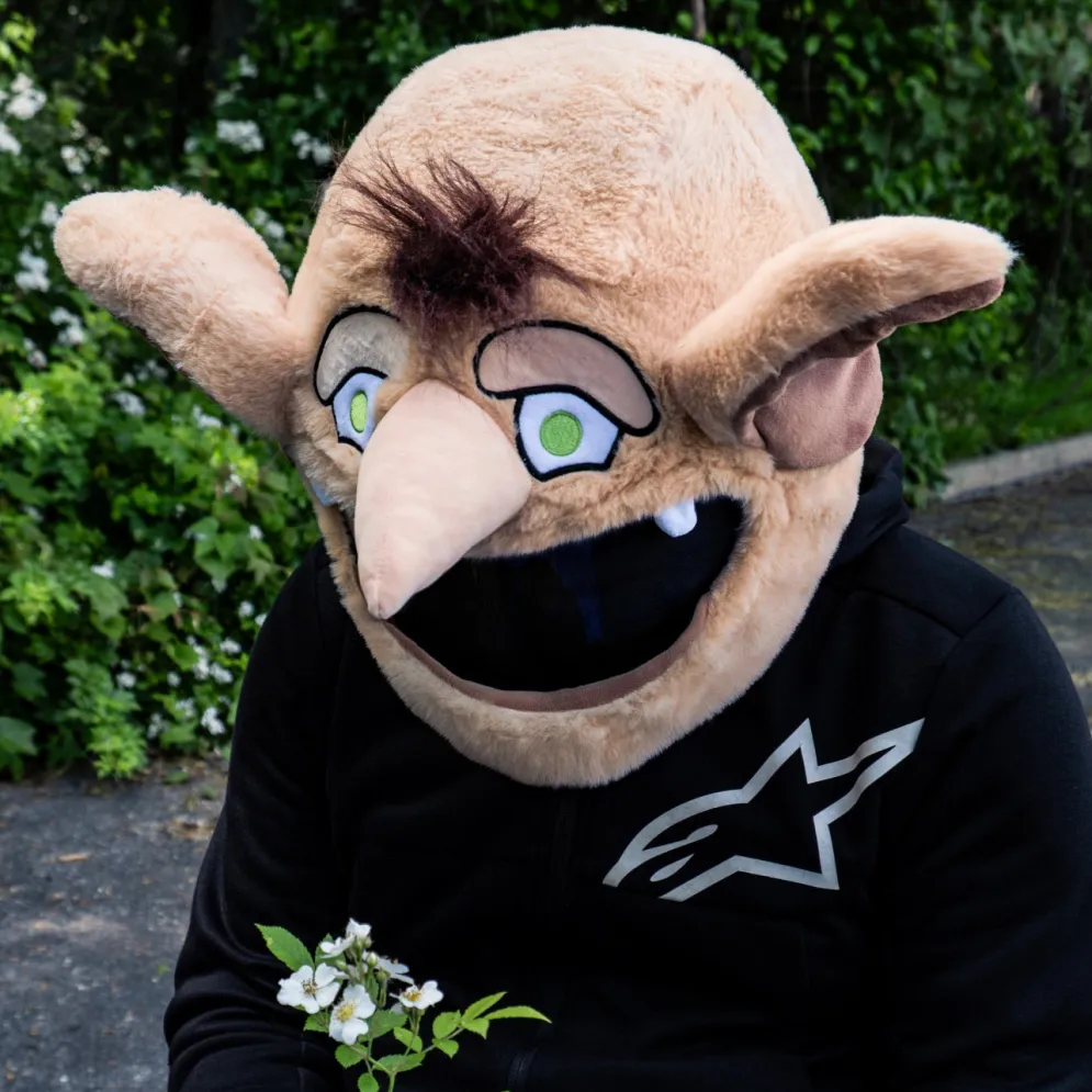 Motorcycle Helmet Cover - House Elf^Moto Loot Clearance