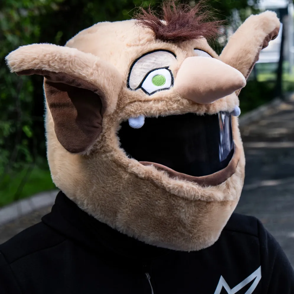 Motorcycle Helmet Cover - House Elf^Moto Loot Clearance