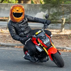 Motorcycle Helmet Cover - Lion^Moto Loot Discount