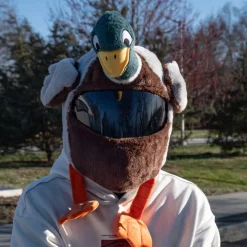 Motorcycle Helmet Cover - Mallard Duck^Moto Loot Clearance