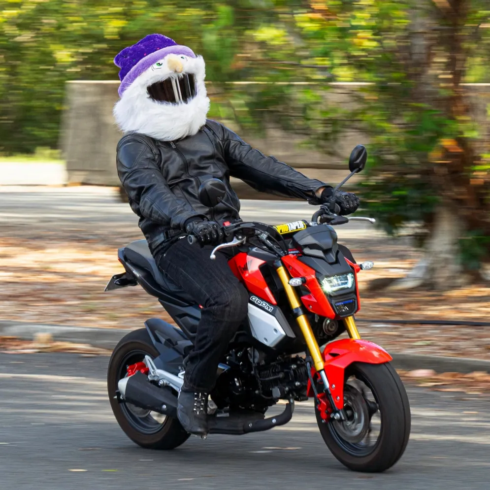 Motorcycle Helmet Cover - Wizard^Moto Loot Discount