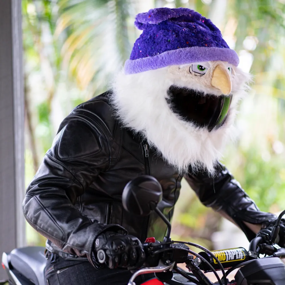 Motorcycle Helmet Cover - Wizard^Moto Loot Discount