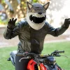 Motorcycle Helmet Cover - Wolf^Moto Loot New