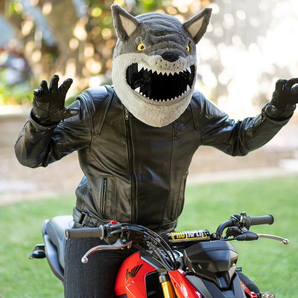 Motorcycle Helmet Cover - Wolf^Moto Loot New