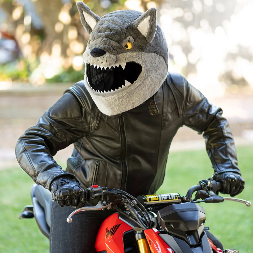Motorcycle Helmet Cover - Wolf^Moto Loot New
